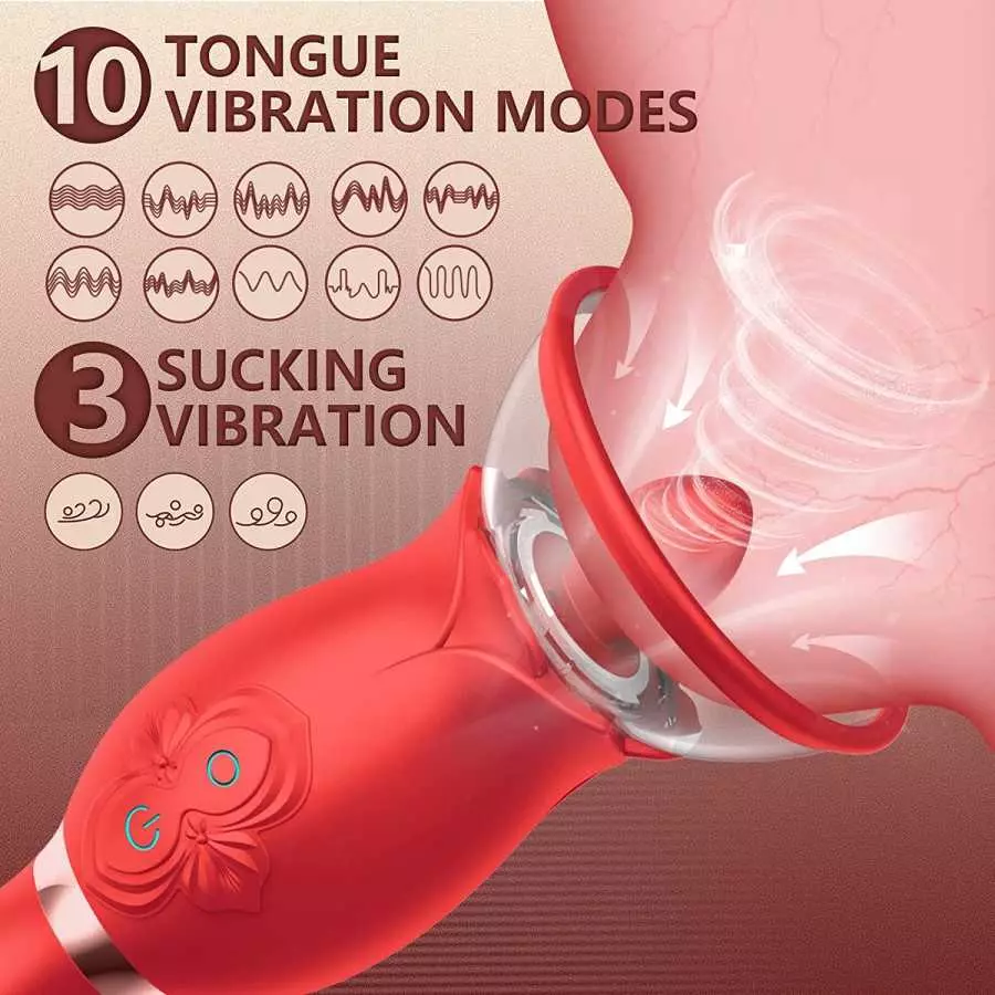 Rabbit Vibrator for Female, Rose Sex Toys Clitoral G Spot Stimulation Vibrator with Ear, Waterproof Dildo Vibrator with 10 Power