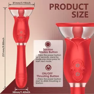 Rabbit Vibrator for Female, Rose Sex Toys Clitoral G Spot Stimulation Vibrator with Ear, Waterproof Dildo Vibrator with 10 Power Rabbit Vibrator for Female, Rose Sex Toys Clitoral G Spot Stimulation Vibrator with Ear, Waterproof Dildo Vibrator with 10 Power