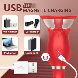 Rabbit Vibrator for Female, Rose Sex Toys Clitoral G Spot Stimulation Vibrator with Ear, Waterproof Dildo Vibrator with 10 Power Rabbit Vibrator for Female, Rose Sex Toys Clitoral G Spot Stimulation Vibrator with Ear, Waterproof Dildo Vibrator with 10 Power