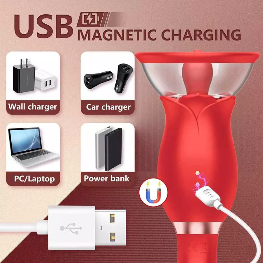 Rabbit Vibrator for Female, Rose Sex Toys Clitoral G Spot Stimulation Vibrator with Ear, Waterproof Dildo Vibrator with 10 Power