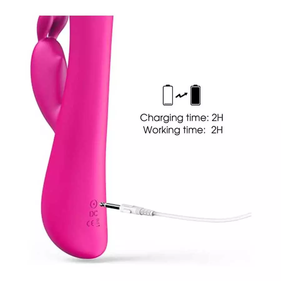 Rabbit Vibrator Dildo for Women Pleasure : G Spot Vibrator with Bunny Ears 9 Vibration Modes, Quiet Clit Vibrator Pink Dildo for