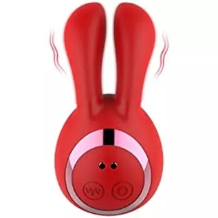 Rabbit Vibrator for Women Pleasure, 2 in 1 Small Rabbit Massager kit with 13 Vibration Modes, Nipples Clitoral Stimulator for Ad