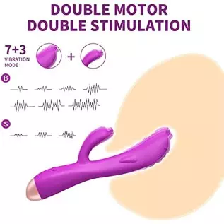 G Spot Clitoral Dolphin Silicone Vibrator, Dual Motor 7+3 Vibration Mode Vaginal Stimulator, Waterproof and Rechargeable Dildo R