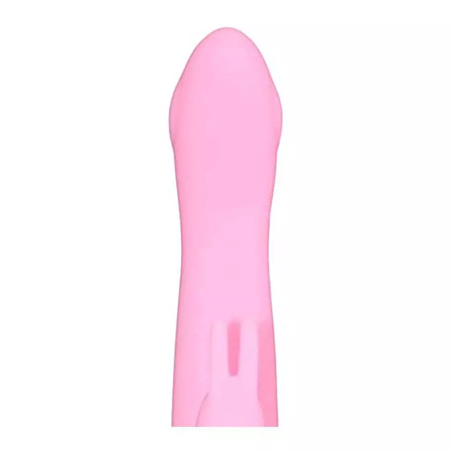 Silicone Rabbit Vibrator Multi Speed Vibrations for G Spot and Clit Stimulation Adult Sex Toy