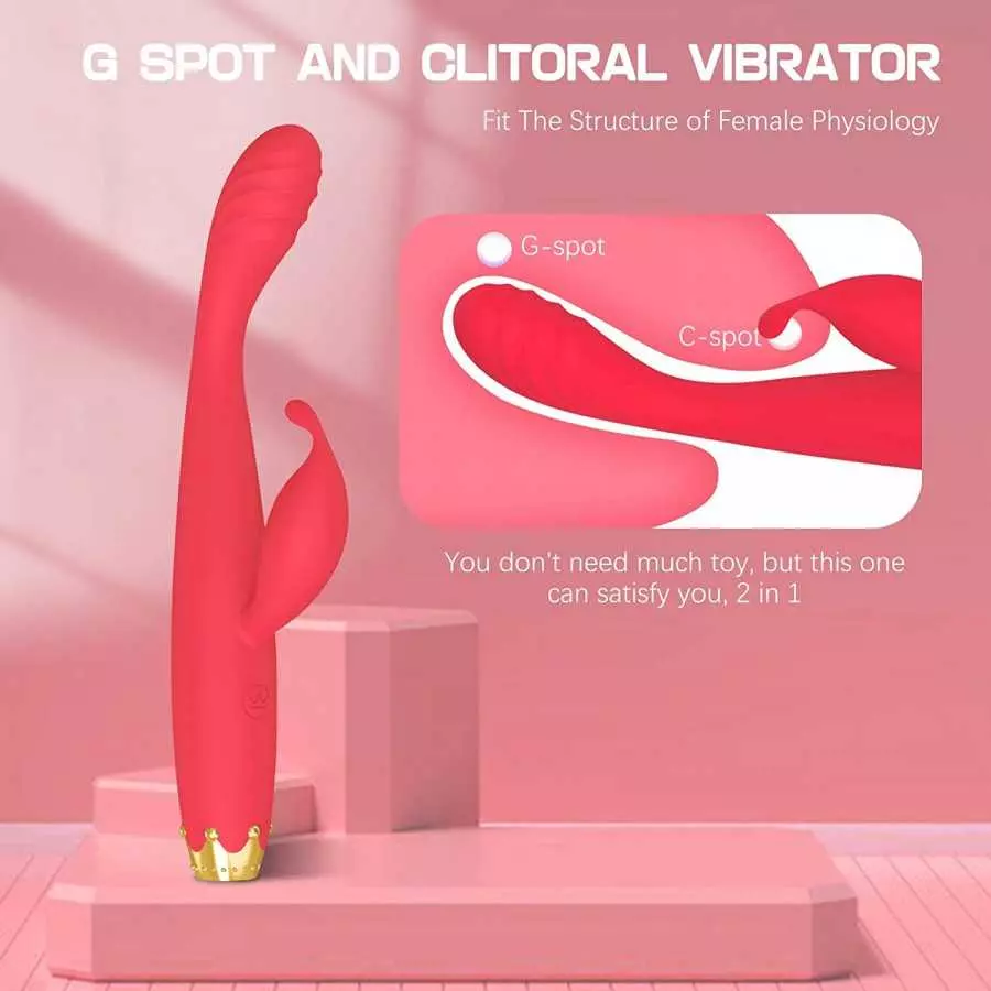 G Spot Vibrator, Rabbit Clitoris Stimulator Rechargeable High-Frequency Adult Sex Toys for Women Couples with 10 Mode Powerful V