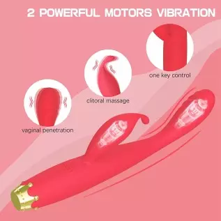 G Spot Vibrator, Rabbit Clitoris Stimulator Rechargeable High-Frequency Adult Sex Toys for Women Couples with 10 Mode Powerful V G Spot Vibrator, Rabbit Clitoris Stimulator Rechargeable High-Frequency Adult Sex Toys for Women Couples with 10 Mode Powerful V