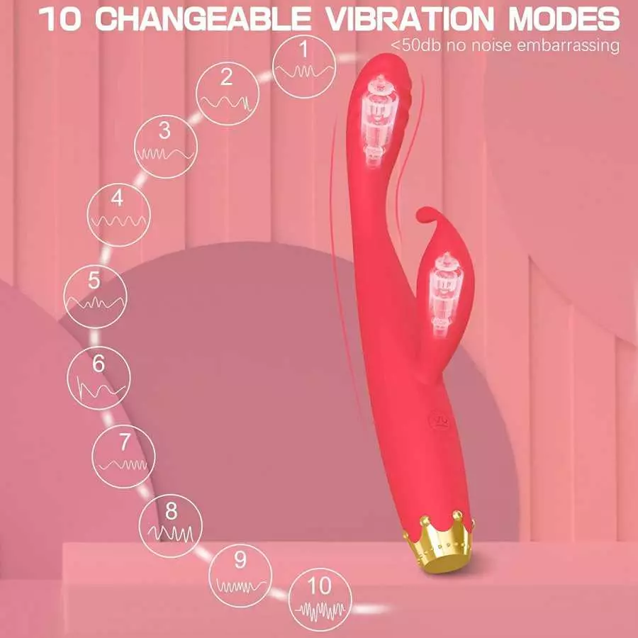 G Spot Vibrator, Rabbit Clitoris Stimulator Rechargeable High-Frequency Adult Sex Toys for Women Couples with 10 Mode Powerful V