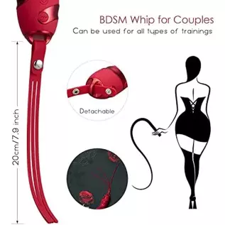 Rabbit Vibrator for Women, Pulsating Clitoral Vibrator Rechargeable with 10 Modes for Vagina Clit Stimulation, Detachable Silico