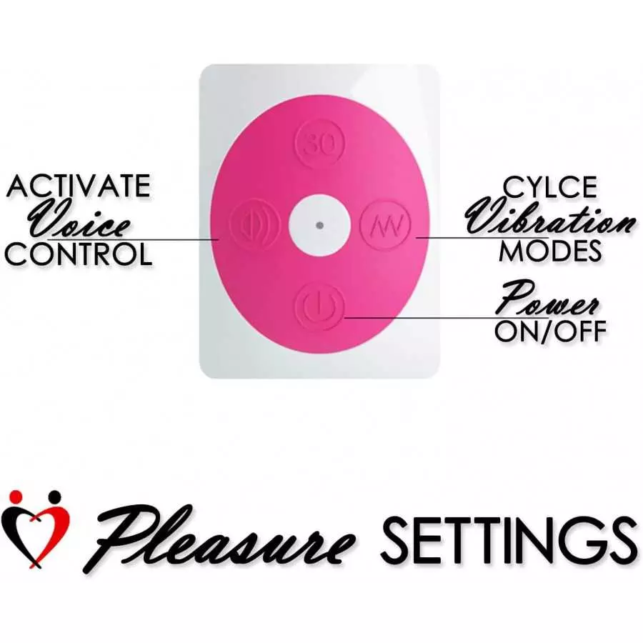 LeLuv Rabbit Vibrator Voice-Sound Activated 30 Modes Smooth Silicone Purple