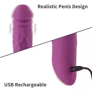 Eupher 8.5 Inch Rechargeable G Spot Dildo Vibrator,Realistic Dildo Vibrating Machine with 10 Vibrations,Quiet & Bendable Vaginal