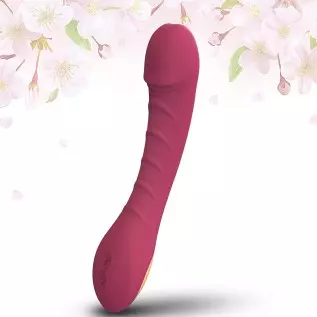 G Spot Clitoral Vibrator for Clit and Vagina Stimulation,Rechargeable Dildo Vibrator with 12 Powerful Vibrations. Adult Sex Toy 