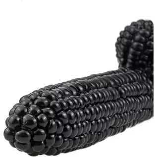 G-spot Massage Dildo, 8.26 inch Novelties Vegetable Penis, Big Realistic Cock with Suction Cup and Big Bumps, Fetish Adult Sex T G-spot Massage Dildo, 8.26 inch Novelties Vegetable Penis, Big Realistic Cock with Suction Cup and Big Bumps, Fetish Adult Sex T
