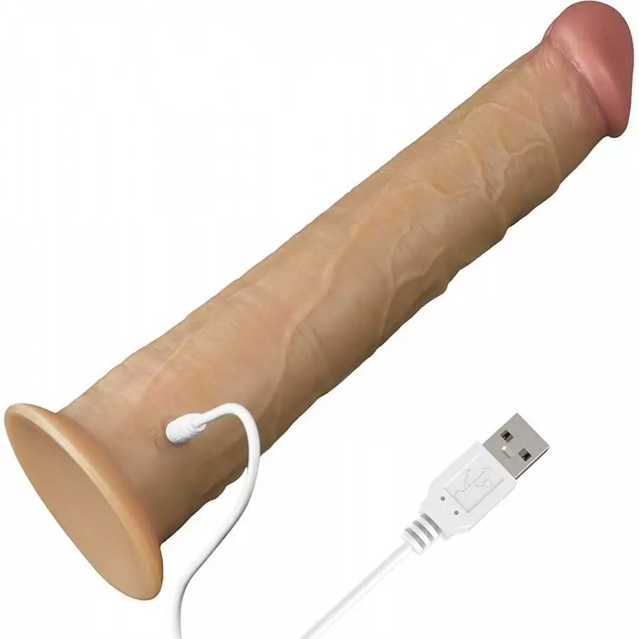 10 Inch Dual Density Silicone Anal Dildo Realistic Huge Suction Cup Dildo Big Horse Dildo Giant Anal Toy Anal Plugs Large Strap