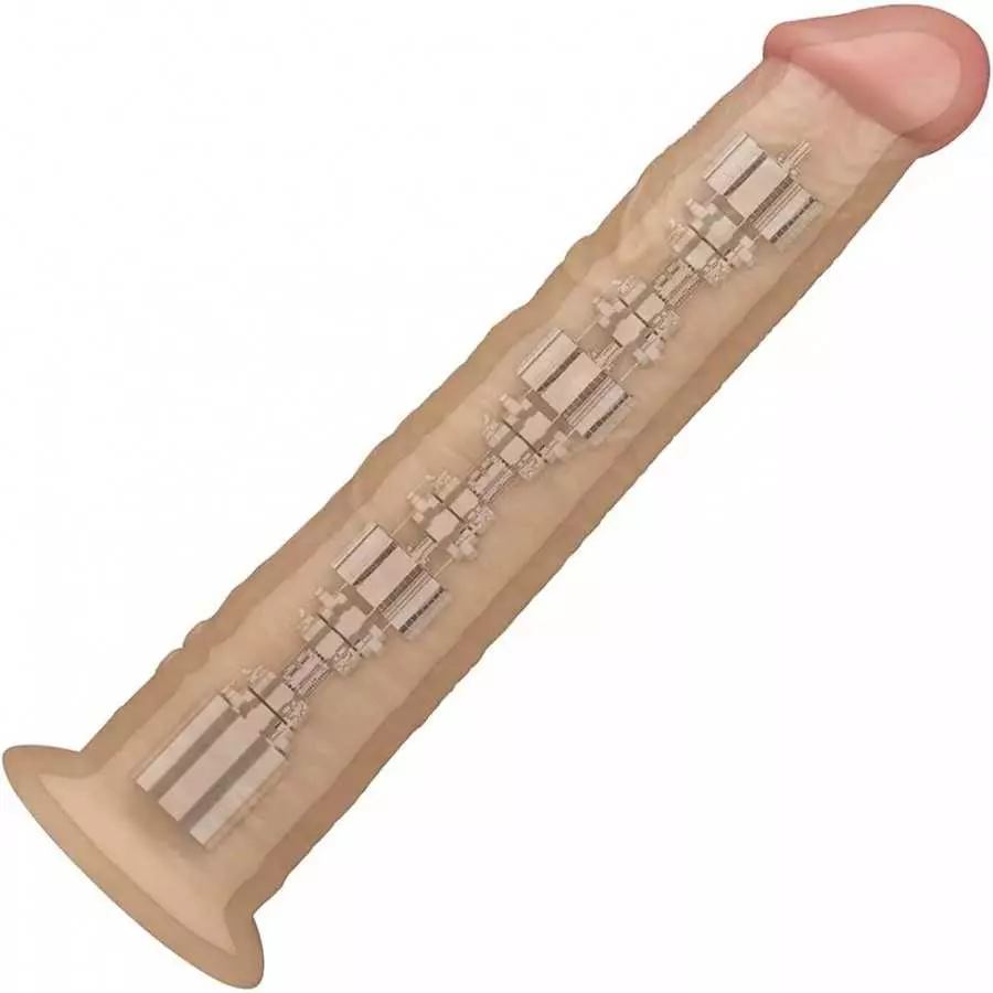10 Inch Dual Density Silicone Anal Dildo Realistic Huge Suction Cup Dildo Big Horse Dildo Giant Anal Toy Anal Plugs Large Strap