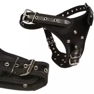 FST Strap-on Dildo with Harness Belt 3 Removable Silicone Dildos, G Spot Stimulate Adjustable Dildo Leather Sex Toy for Women Le