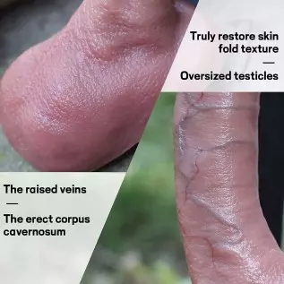 8.77 Inch Realistic Dildo, Body-Safe Material Lifelike Huge Penis, Adult Sex Toys for Women, Flexible Dildos with Suction Cup fo