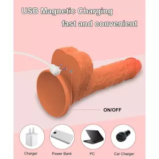 8.78in Thrusting Dildo Vibrator Sex Toy for Women/Men, Big Realistic Penis for Masturbation, Heating Suction Cup with Safe Silic