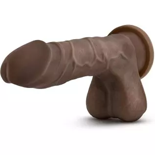 Blush Au Naturel Mister Perfect 8.5 Inch Realistic Suction Cup Dildo, Sex Toy for Women, Sex Toy for Adults, Chocolate Blush Au Naturel Mister Perfect 8.5 Inch Realistic Suction Cup Dildo, Sex Toy for Women, Sex Toy for Adults, Chocolate