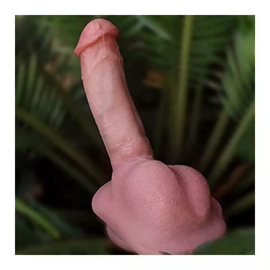 6.54" Realistic Dildo for Beginner, Lifelike Penis Adult Sex Toy with Suction Cup for Hands-Free Play, Flexible Cock with Curved