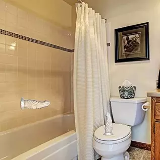 Realistic Silicone Dildo with Powerful Suction Cups, 7.6 Inch Big Penis Dildo Anal Toys for Women Men Butt Plug Masturbator Anal