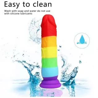 Small Realistic Dildo Xtoy King Adult Toys for Men, Body-Safe Silicone Dildo with Strong Suction Cup for Hands-Free Play, Rainbo