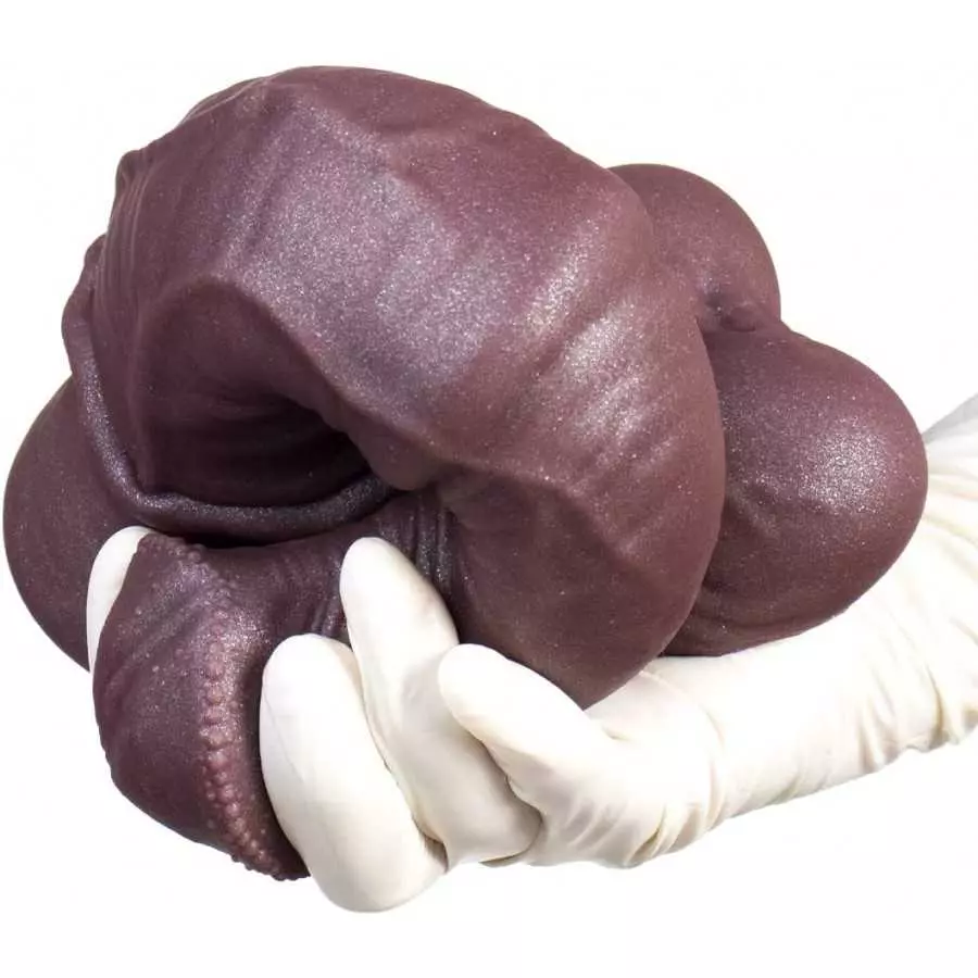 12 inch Realistic Horse Cock Dildo Silicone Giant Long Fantasy Big Dildos Mens Animal Massive Penis with Suction Cup girthy Dild