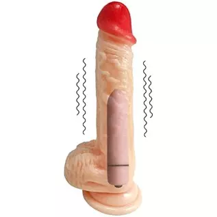 Realistic Dildo with Bullet Vibrator, Adult Vibrating Wand for Her ,8 inch Big Anal Suction Cup Large Dildos Toy for Female, Sil