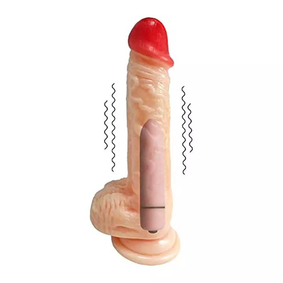 Realistic Dildo with Bullet Vibrator, Adult Vibrating Wand for Her ,8 inch Big Anal Suction Cup Large Dildos Toy for Female, Sil Realistic Dildo with Bullet Vibrator, Adult Vibrating Wand for Her ,8 inch Big Anal Suction Cup Large Dildos Toy for Female, Sil