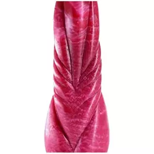 9.5 inch Long Realistic Thick Dragon Dildo with Hands-Free Suction Cup, Big Soft Silicone Ailen Dildos Anal Plug Toys for Women