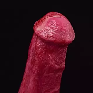 Realistic Double-Ended Dragon Dildo with Hands-Free Suction Cup, 8.8 inches Big Pink Silicone One Side Dual Heads Anal Plug Adul