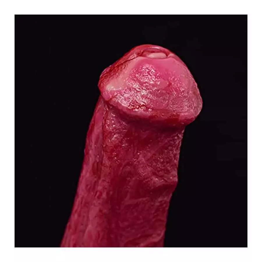 Realistic Double-Ended Dragon Dildo with Hands-Free Suction Cup, 8.8 inches Big Pink Silicone One Side Dual Heads Anal Plug Adul