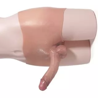 Silicone Dildo Panties 6-7 inch Realistic Penis Sex Toys for Gay Lesbian Men Women Masturbation