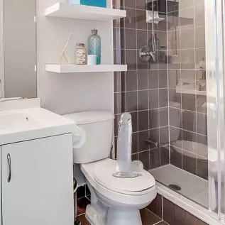 ROVOZAR 8.3 Inch Realistic Dildo, with Strong Suction Cup for Hands-Free Play, TPE Transparent Safety Material, for Women/Men/ A ROVOZAR 8.3 Inch Realistic Dildo, with Strong Suction Cup for Hands-Free Play, TPE Transparent Safety Material, for Women/Men/ A