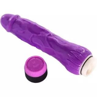 8.7inch Dildo Vibrating G Spot Clit Vibrator Stimulator, Realistic Penis Sex Toy for Couples and Women, Perfect Gifts