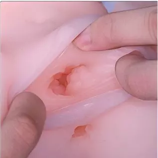 Sex Doll Male Masturbator A Shrunken Female Love Dolls with A Tight Vagina and Anus, an Adult Sex Toy for Male Masturbation.