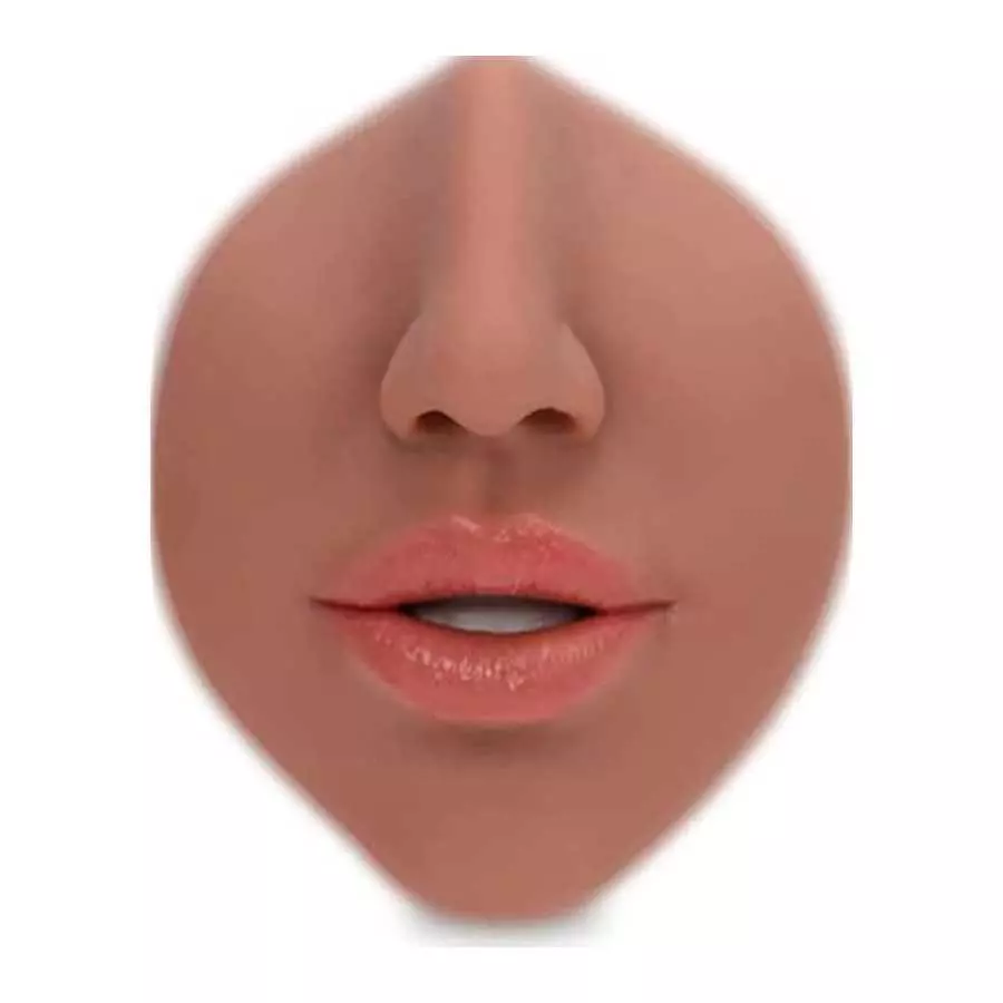 3 in 1 Pussy Pocket Pussy Masturbators for Male with Fox Face, Mouth Vagina and Anal, Masturbator Deep Throat Oral Adult