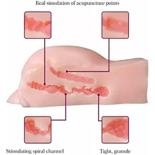 Daomo Mini Size Sex Toy Male Masturbator Lifelike Sex Doll with Vaginal and Anal Tunnels,Adult Love Dolls for Man Orgasm, 3.3LB Daomo Mini Size Sex Toy Male Masturbator Lifelike Sex Doll with Vaginal and Anal Tunnels,Adult Love Dolls for Man Orgasm, 3.3LB