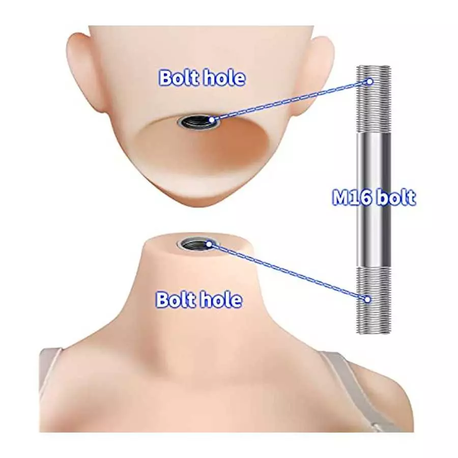 HANIDOLL H3699 Female TPE Silicone Head Figure Sculpt,Beuty Charming Girl Doll Head,M16 Stud Fixed Connection