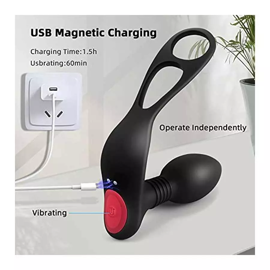 Diweit Prostate Massager Anal Vibrator with 3 in 1 Dual Motor Control 10 Vibration Modes Dual Penis Ring G-spot Vibrator with Re