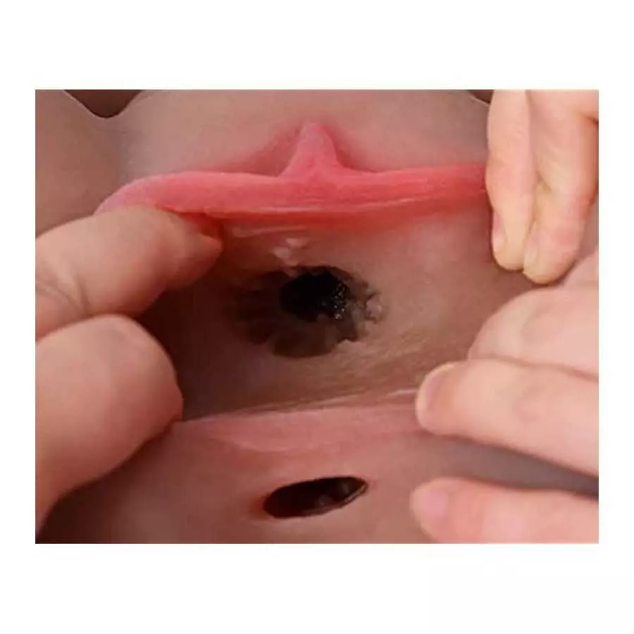 MoiDol 24.26LB Adult Male Sex Doll with Penetrateable Nipples TPE Material,Realistic Torso Sex Dolls with Pussy Ass Boobs Mastur