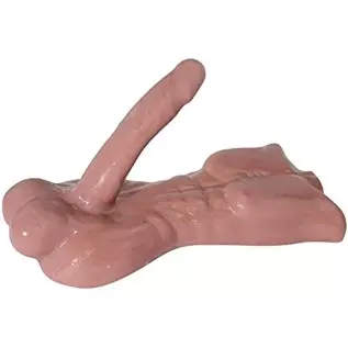 4.4lbs Solid Sex Doll for Women - Mini Male Torso Big Penis Sex Doll with Huge Cock Ball for Couple Sex Toys - 13.3*6.7 inch (Br 4.4lbs Solid Sex Doll for Women - Mini Male Torso Big Penis Sex Doll with Huge Cock Ball for Couple Sex Toys - 13.3*6.7 inch (Br