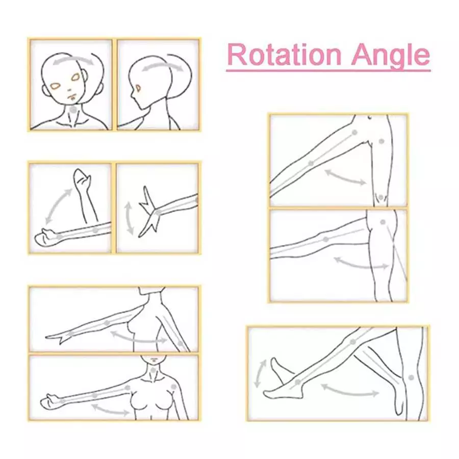 Female Torso Sex Doll for Male Life Size with Realistic Female Anatomy Soft and Stretchy TPE Material Lifelike Full Body Adult L