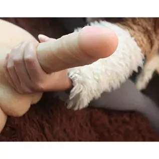 16 lb Sex Dolls with Realistic Dildo Sex Toys for Women, Male Torso Penis Love Doll with Big Dildo and Tight Anal Sex Stroker Un 16 lb Sex Dolls with Realistic Dildo Sex Toys for Women, Male Torso Penis Love Doll with Big Dildo and Tight Anal Sex Stroker Un