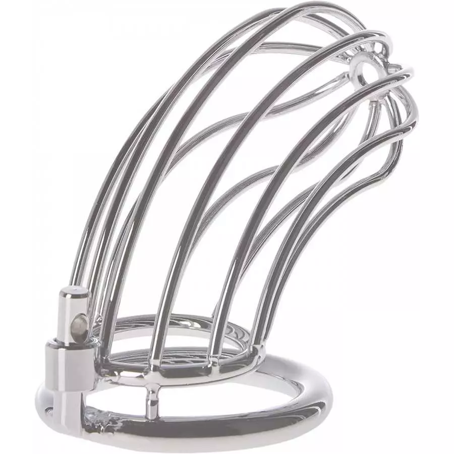 Master Series The Bird Cage Chastity Device, Large
