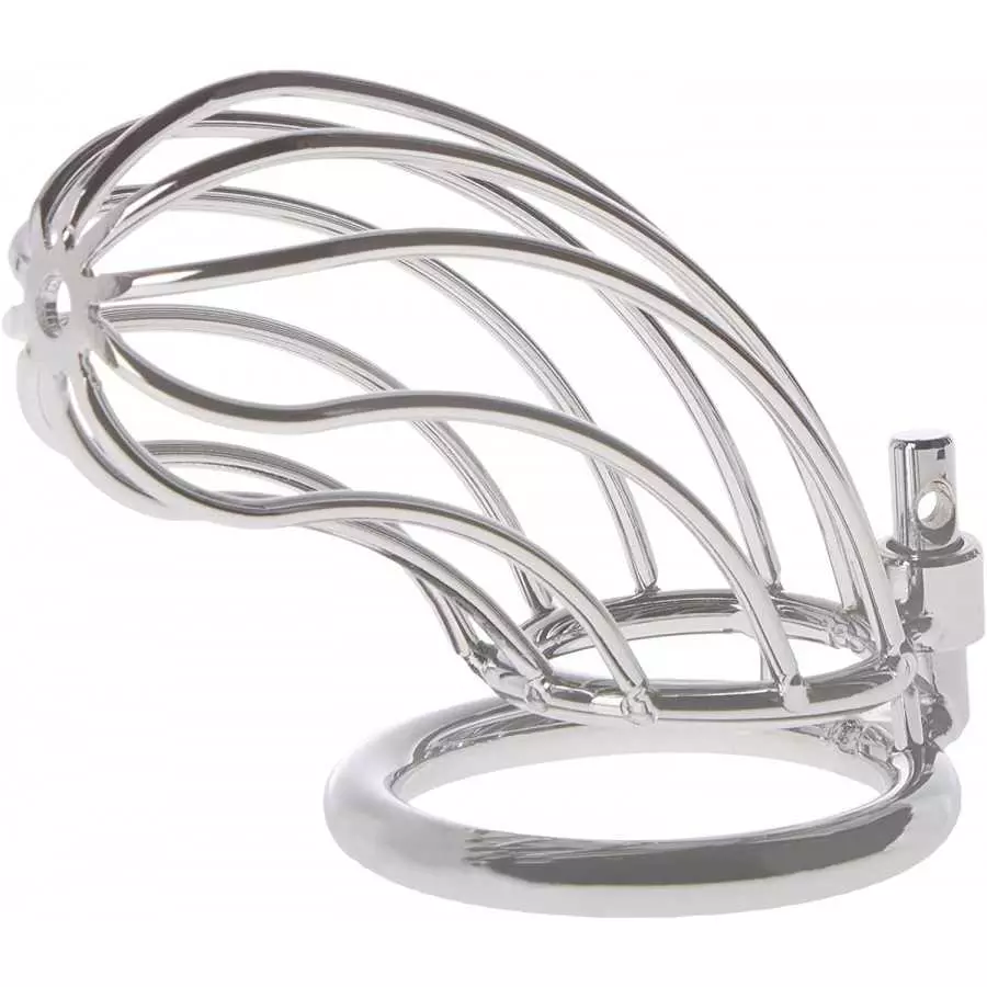 Master Series The Bird Cage Chastity Device, Large