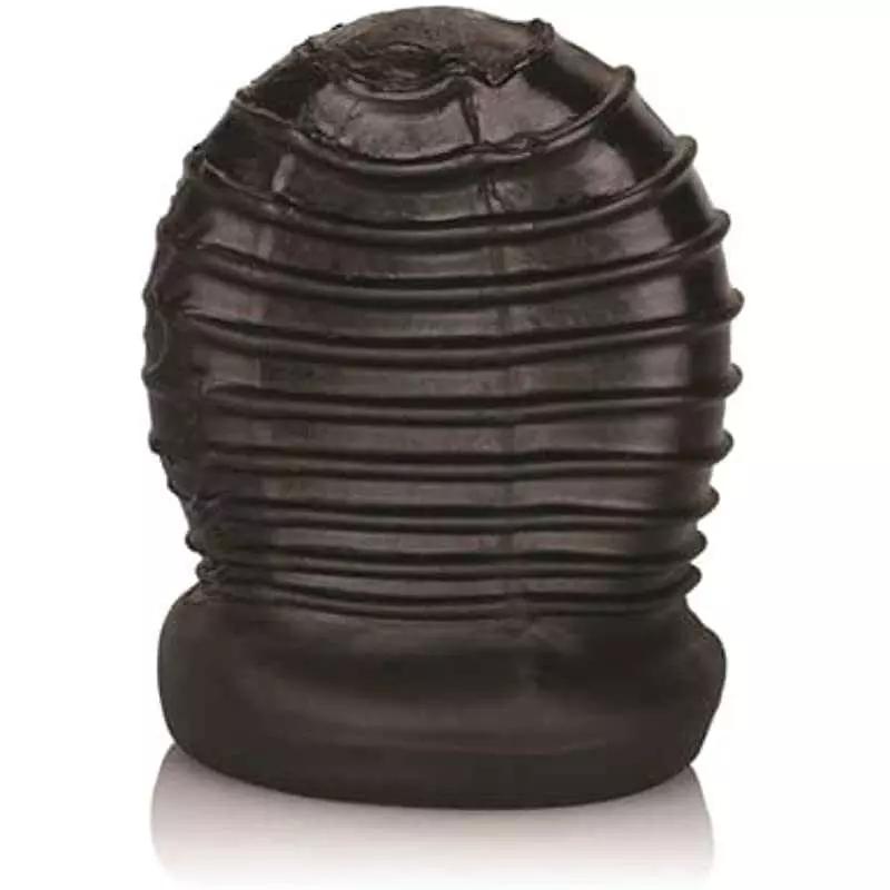 CalExotics Packer Gear FTM Stroker - Male Silicone Masturbation Sleeve - 2 Inch Adult Male Masturbator Sex Toy - Black