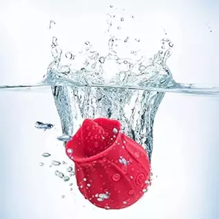 202 The Rose Toy for Women A Gift【Arrive in 3-6 Days】 D (02-Red) 202 The Rose Toy for Women A Gift【Arrive in 3-6 Days】 D (02-Red)